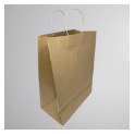 AssurePak Paper Bags
