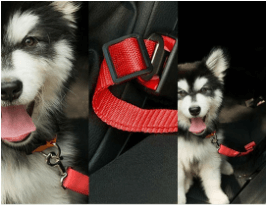 Harness Buddy Car Seat Belt